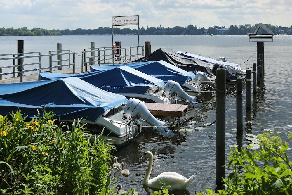 Hotel Dämeritzseehotel Berlijn